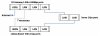 Network Subnet.jpg