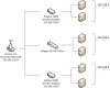 network.jpg