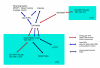 Network Topology.png