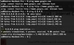 ping results.png