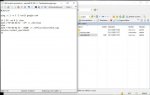 Script1.jpg