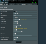 ax86u settings.png
