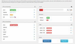 2021-02-21 14_55_16-IPv6 test - IPv6_4 connectivity and speed test.png