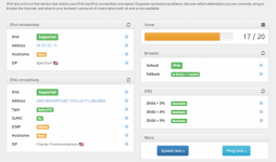 2021-02-21 14_57_31-IPv6 test - IPv6_4 connectivity and speed test.png