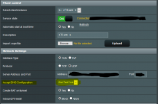 VPN DNS setting.PNG