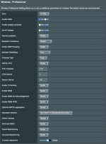 2.4GHz Professional Options.png