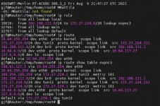 Screenshot 2021-09-04 163802.jpg