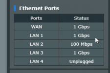 WAN1gig.png