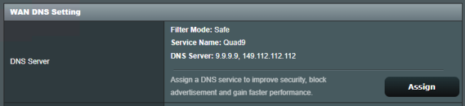 WAN DNS Config.png