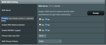 2 wan dns.png