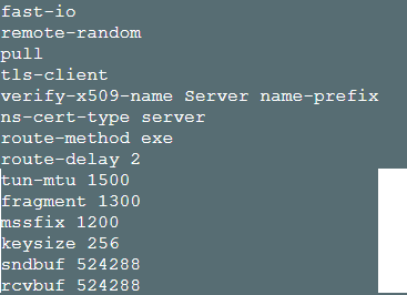 20230406 Asus RT-AX88U (OpenVPN Client Settings - Custom Configuration).png