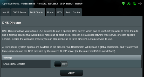 dns-director.png