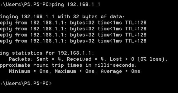 ping.JPG