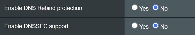 Enable DNS Rebind.jpg