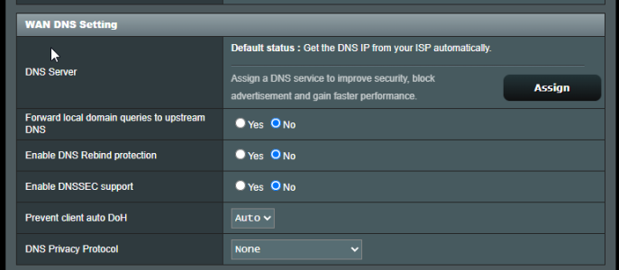WAN DNS.png