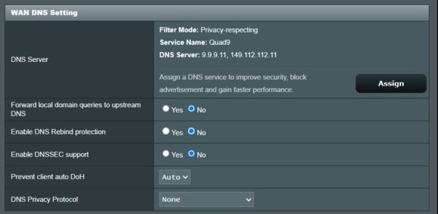 WAN DNS.jpg