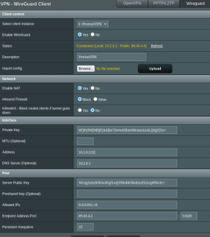 VPN Director - Wireguard ProtonVPN.png