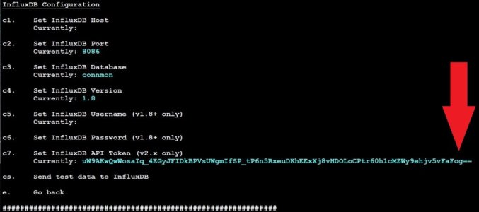 Connmon_v3.0.10_CLI_Menu_InfluxToken2.jpg