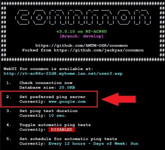 Connmon_v3.0.10_CLI_PingServer.jpg