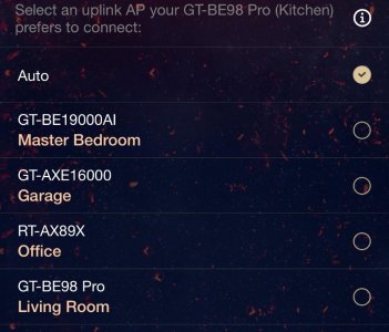 WhatsApp Image 2026-03-14 at 16.35.01 (2).jpeg