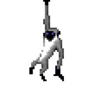 dizM0nkey