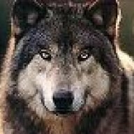 LoneWolf