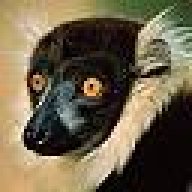 LemurTech