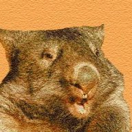 wombat2k