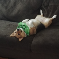 VinnyJ