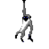 dizM0nkey