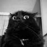 Diabolic