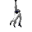 dizM0nkey