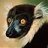 LemurTech