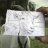 clevergoat