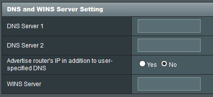 LAN-DNS-settings.jpg
